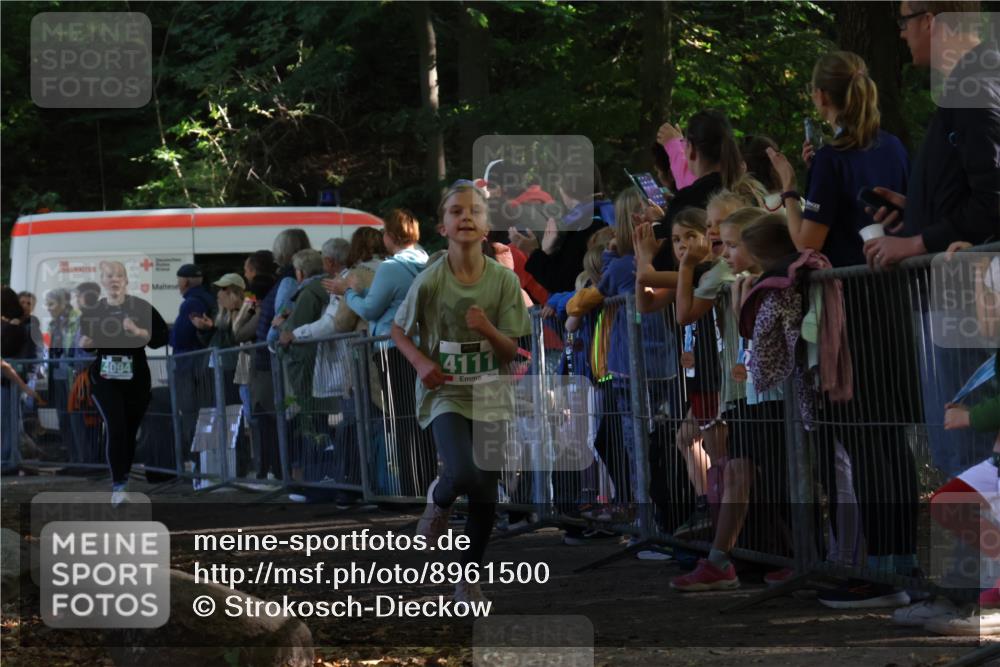 28.09.2025 - 33. Volkslauf durch das schöne Alstertal Strokosch-Dieckow http://msf.ph/oto/8961500 28.09.2025 10:55:10 Ziel 4033, 4040, 4084, 4094, 4111 meine-sportfotos.de