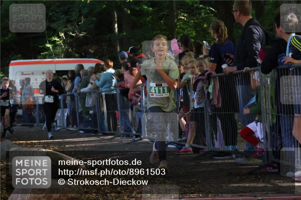 28.09.2025 - 33. Volkslauf durch das schöne Alstertal Strokosch-Dieckow http://msf.ph/oto/8961503 28.09.2025 10:55:11 Ziel 4033, 4084, 4094, 4111 meine-sportfotos.de