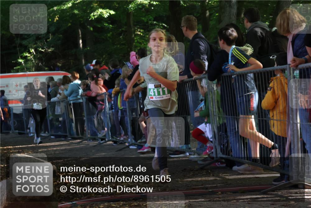 28.09.2025 - 33. Volkslauf durch das schöne Alstertal Strokosch-Dieckow http://msf.ph/oto/8961505 28.09.2025 10:55:12 Ziel 4033, 4084, 4093, 4094, 4111 meine-sportfotos.de