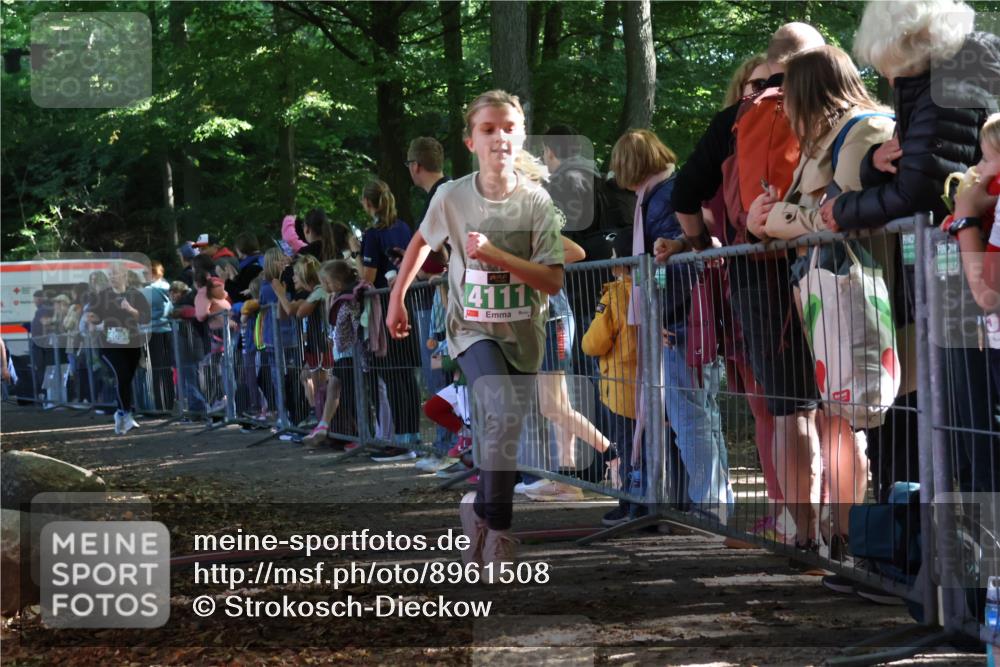28.09.2025 - 33. Volkslauf durch das schöne Alstertal Strokosch-Dieckow http://msf.ph/oto/8961508 28.09.2025 10:55:12 Ziel 4033, 4084, 4093, 4094, 4111 meine-sportfotos.de