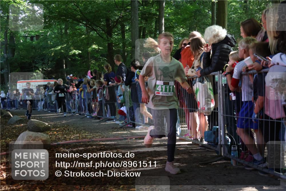 28.09.2025 - 33. Volkslauf durch das schöne Alstertal Strokosch-Dieckow http://msf.ph/oto/8961511 28.09.2025 10:55:13 Ziel 4033, 4084, 4093, 4094, 4111 meine-sportfotos.de
