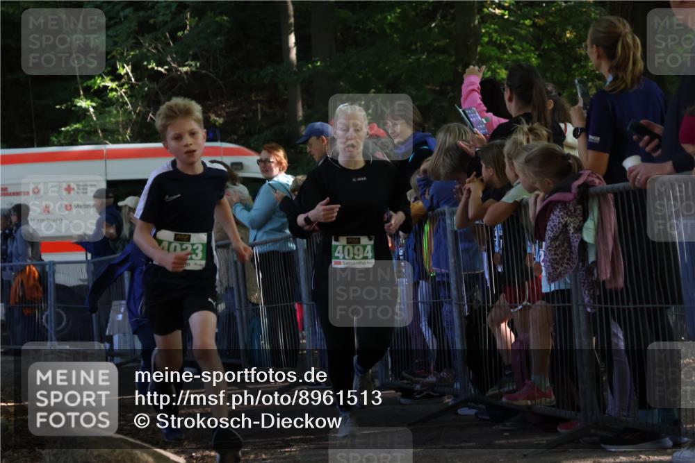 28.09.2025 - 33. Volkslauf durch das schöne Alstertal Strokosch-Dieckow http://msf.ph/oto/8961513 28.09.2025 10:55:14 Ziel 4033, 4084, 4093, 4094 meine-sportfotos.de