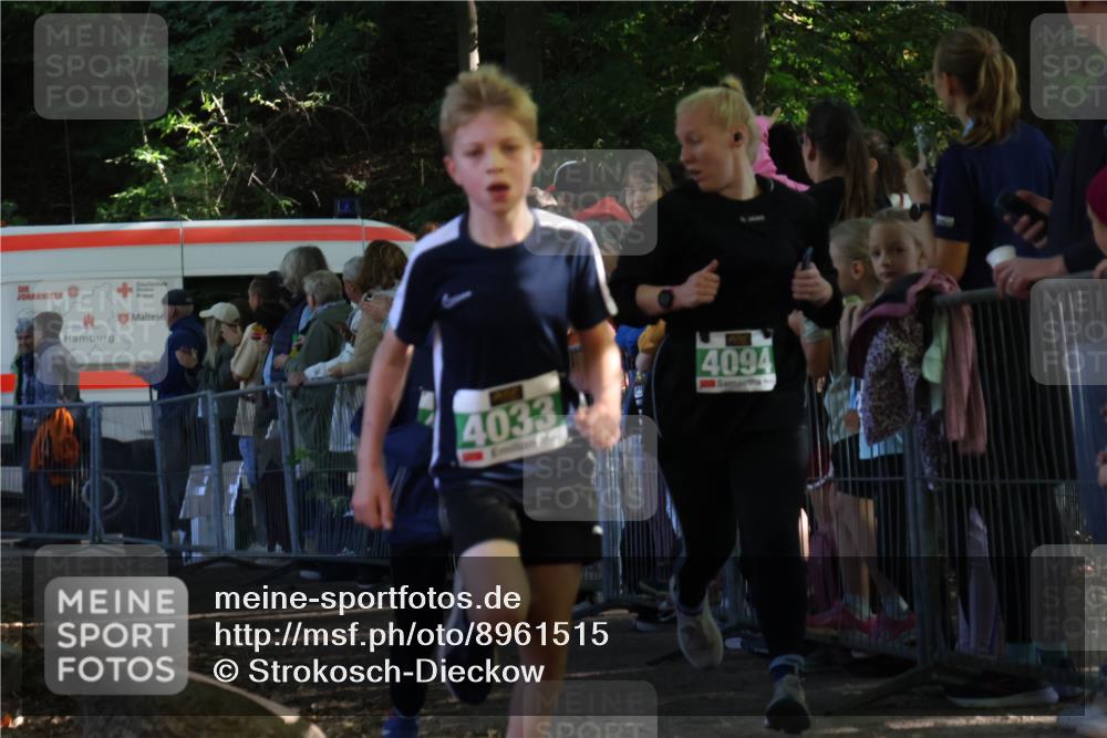 28.09.2025 - 33. Volkslauf durch das schöne Alstertal Strokosch-Dieckow http://msf.ph/oto/8961515 28.09.2025 10:55:15 Ziel 4033, 4084, 4093, 4094 meine-sportfotos.de