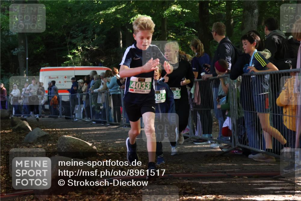 28.09.2025 - 33. Volkslauf durch das schöne Alstertal Strokosch-Dieckow http://msf.ph/oto/8961517 28.09.2025 10:55:15 Ziel 4033, 4084, 4093, 4094 meine-sportfotos.de
