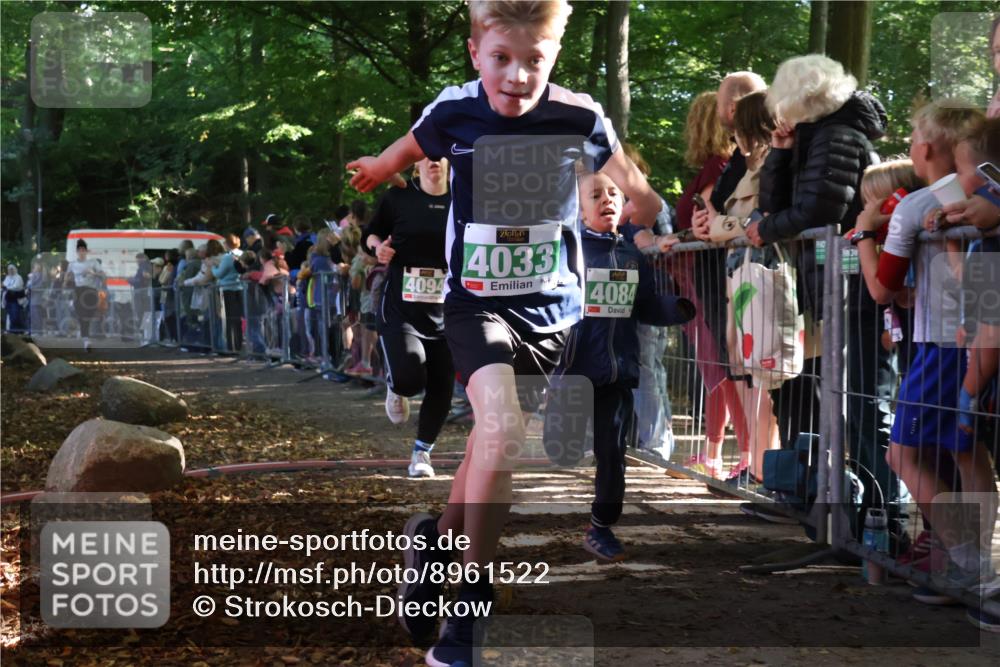 28.09.2025 - 33. Volkslauf durch das schöne Alstertal Strokosch-Dieckow http://msf.ph/oto/8961522 28.09.2025 10:55:16 Ziel 4033, 4084, 4093, 4094 meine-sportfotos.de