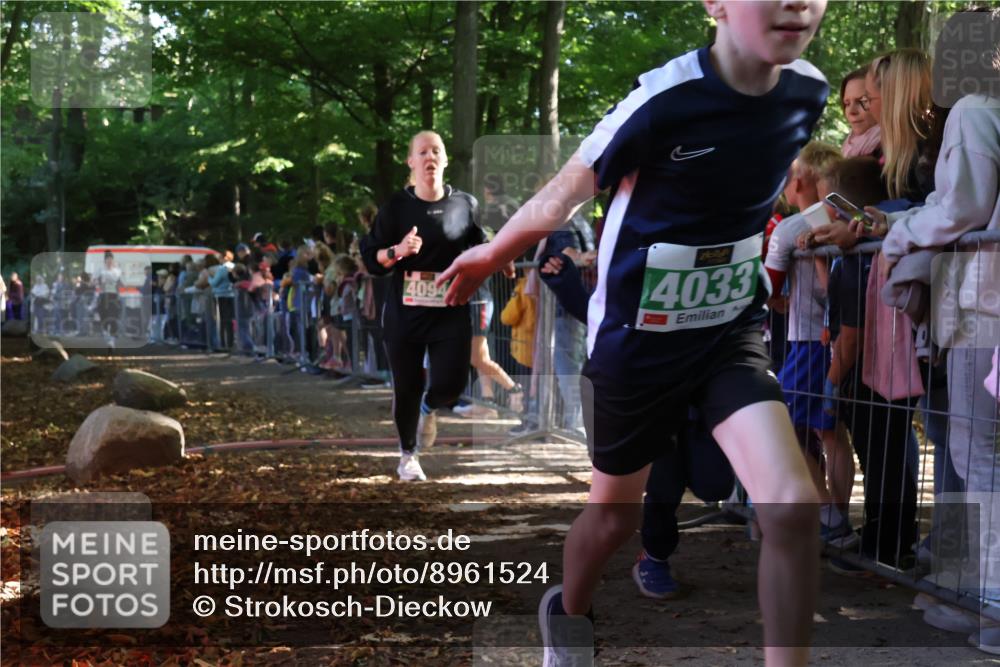 28.09.2025 - 33. Volkslauf durch das schöne Alstertal Strokosch-Dieckow http://msf.ph/oto/8961524 28.09.2025 10:55:16 Ziel 4033, 4084, 4093, 4094 meine-sportfotos.de