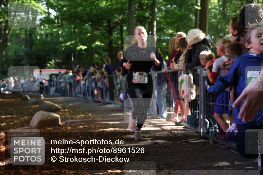 28.09.2025 - 33. Volkslauf durch das schöne Alstertal Strokosch-Dieckow http://msf.ph/oto/8961526 28.09.2025 10:55:17 Ziel 4033, 4084, 4093, 4094 meine-sportfotos.de