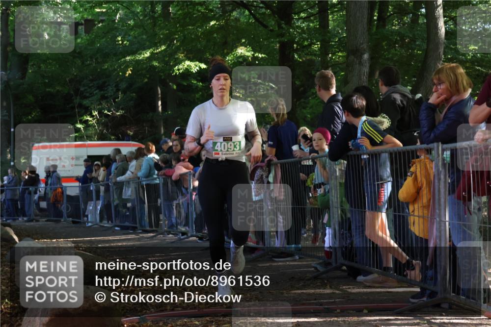 28.09.2025 - 33. Volkslauf durch das schöne Alstertal Strokosch-Dieckow http://msf.ph/oto/8961536 28.09.2025 10:55:20 Ziel 4042, 4093, 4120 meine-sportfotos.de