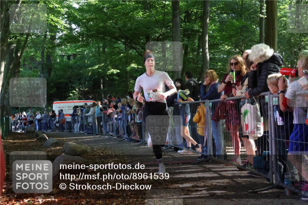 28.09.2025 - 33. Volkslauf durch das schöne Alstertal Strokosch-Dieckow http://msf.ph/oto/8961539 28.09.2025 10:55:21 Ziel 4042, 4093, 4120 meine-sportfotos.de