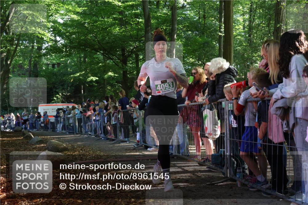 28.09.2025 - 33. Volkslauf durch das schöne Alstertal Strokosch-Dieckow http://msf.ph/oto/8961545 28.09.2025 10:55:21 Ziel 4042, 4093, 4120 meine-sportfotos.de