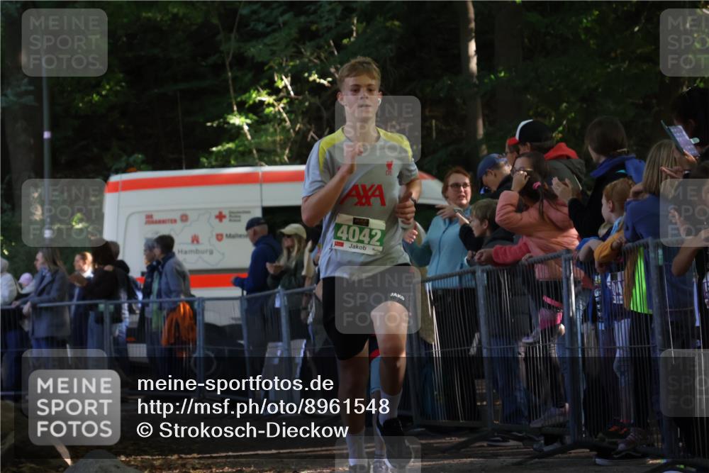 28.09.2025 - 33. Volkslauf durch das schöne Alstertal Strokosch-Dieckow http://msf.ph/oto/8961548 28.09.2025 10:55:25 Ziel 4042, 4120 meine-sportfotos.de