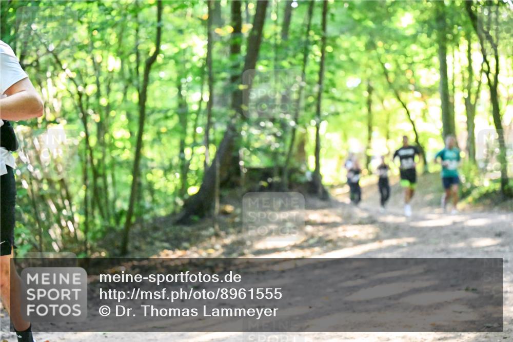 28.09.2025 - 33. Volkslauf durch das schöne Alstertal Dr. Thomas Lammeyer http://msf.ph/oto/8961555 28.09.2025 11:07:41 Laufen  meine-sportfotos.de
