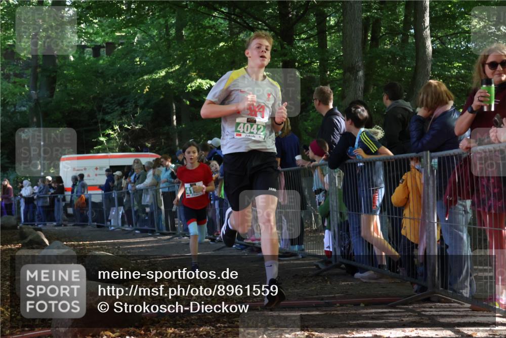 28.09.2025 - 33. Volkslauf durch das schöne Alstertal Strokosch-Dieckow http://msf.ph/oto/8961559 28.09.2025 10:55:27 Ziel 4042, 4046, 4120 meine-sportfotos.de