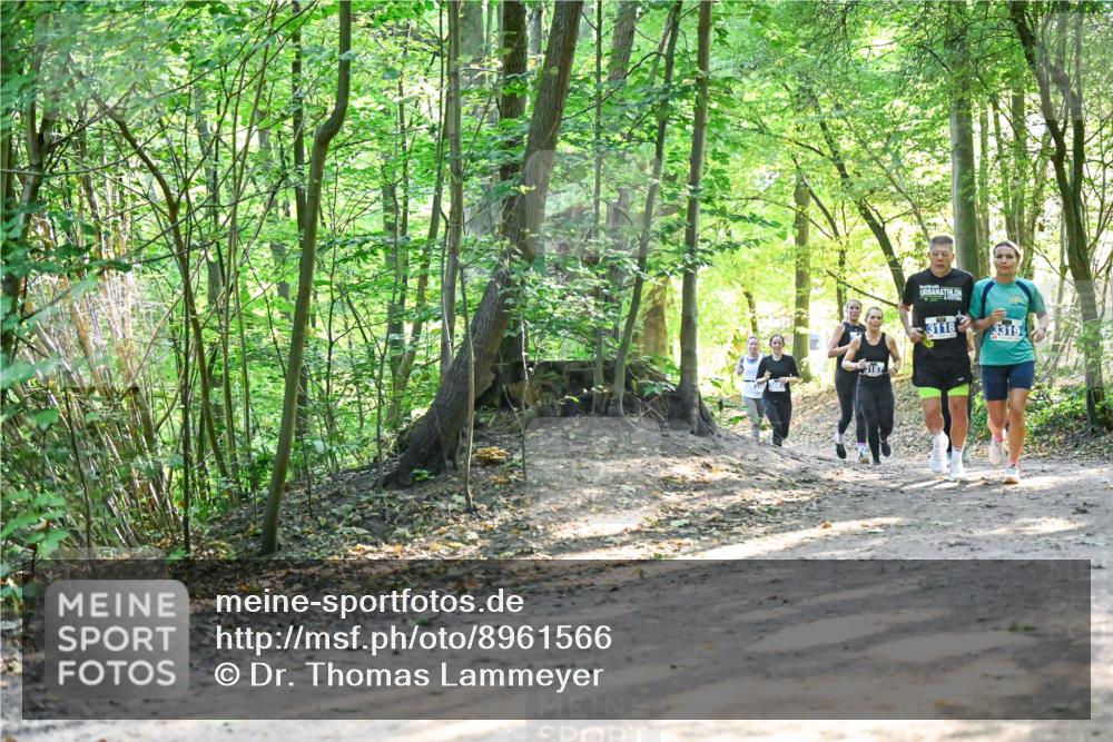 28.09.2025 - 33. Volkslauf durch das schöne Alstertal Dr. Thomas Lammeyer http://msf.ph/oto/8961566 28.09.2025 11:07:43 Laufen 3187, 3118, 3319 meine-sportfotos.de