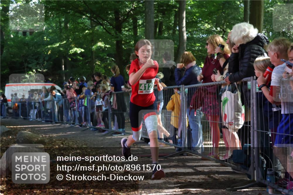 28.09.2025 - 33. Volkslauf durch das schöne Alstertal Strokosch-Dieckow http://msf.ph/oto/8961570 28.09.2025 10:55:28 Ziel 4042, 4046, 4120 meine-sportfotos.de