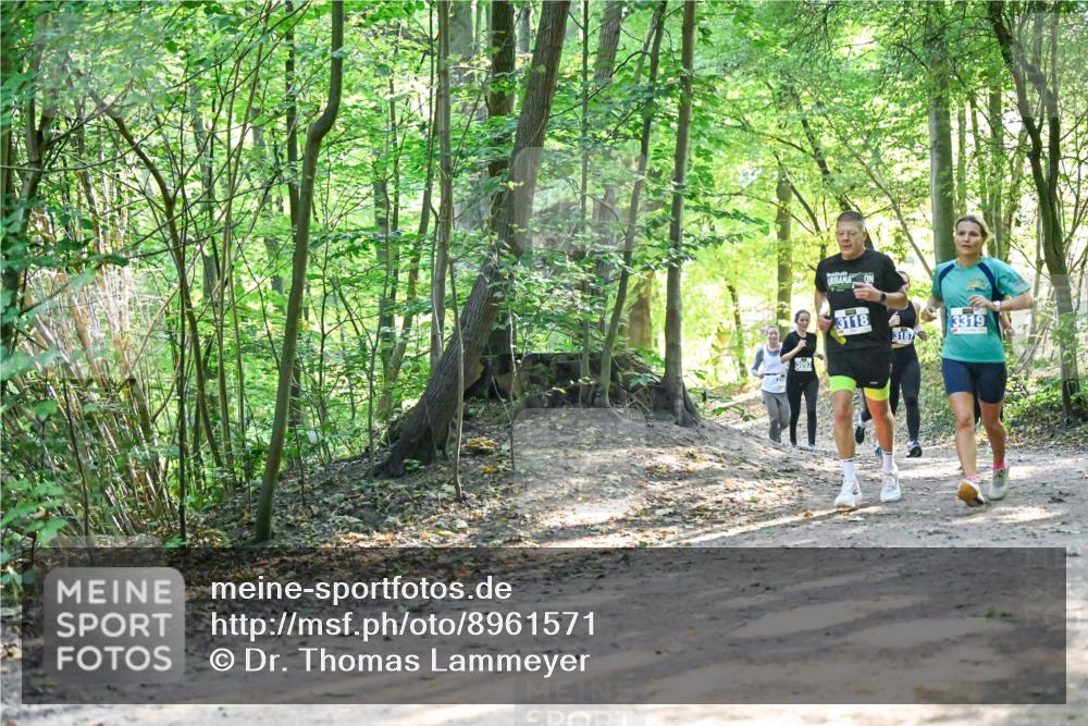28.09.2025 - 33. Volkslauf durch das schöne Alstertal Dr. Thomas Lammeyer http://msf.ph/oto/8961571 28.09.2025 11:07:44 Laufen 3118, 3319, 3187 meine-sportfotos.de