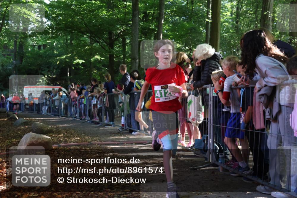 28.09.2025 - 33. Volkslauf durch das schöne Alstertal Strokosch-Dieckow http://msf.ph/oto/8961574 28.09.2025 10:55:29 Ziel 4046, 4120 meine-sportfotos.de