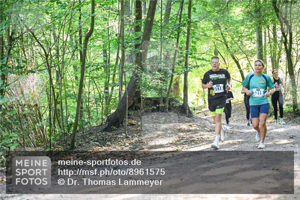 28.09.2025 - 33. Volkslauf durch das schöne Alstertal Dr. Thomas Lammeyer http://msf.ph/oto/8961575 28.09.2025 11:07:44 Laufen 3118, 3319, 3155 meine-sportfotos.de