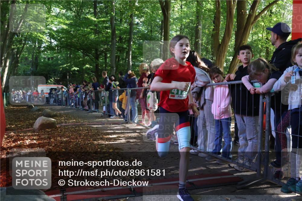 28.09.2025 - 33. Volkslauf durch das schöne Alstertal Strokosch-Dieckow http://msf.ph/oto/8961581 28.09.2025 10:55:29 Ziel 4046, 4120 meine-sportfotos.de