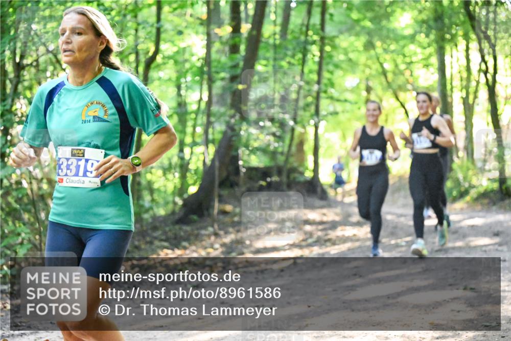 28.09.2025 - 33. Volkslauf durch das schöne Alstertal Dr. Thomas Lammeyer http://msf.ph/oto/8961586 28.09.2025 11:07:46 Laufen 2014, 31, 3319 meine-sportfotos.de