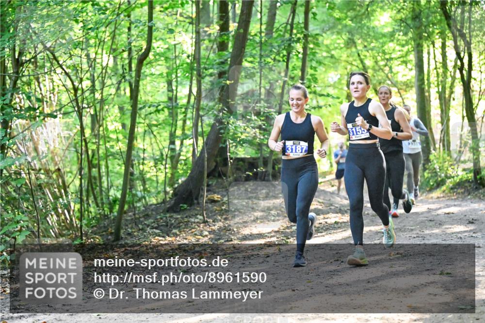 28.09.2025 - 33. Volkslauf durch das schöne Alstertal Dr. Thomas Lammeyer http://msf.ph/oto/8961590 28.09.2025 11:07:47 Laufen 3187, 3155 meine-sportfotos.de