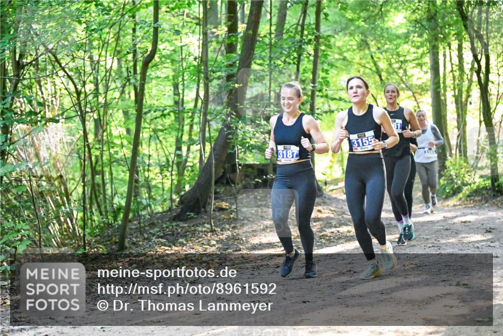 28.09.2025 - 33. Volkslauf durch das schöne Alstertal Dr. Thomas Lammeyer http://msf.ph/oto/8961592 28.09.2025 11:07:47 Laufen 3187, 3155 meine-sportfotos.de