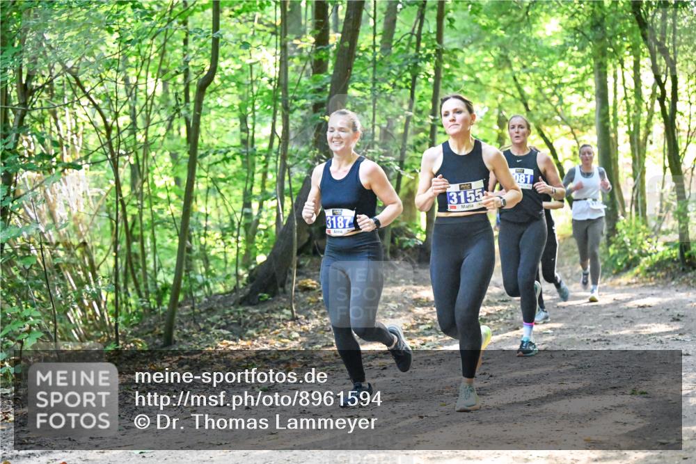 28.09.2025 - 33. Volkslauf durch das schöne Alstertal Dr. Thomas Lammeyer http://msf.ph/oto/8961594 28.09.2025 11:07:48 Laufen 3187, 3155, 081 meine-sportfotos.de