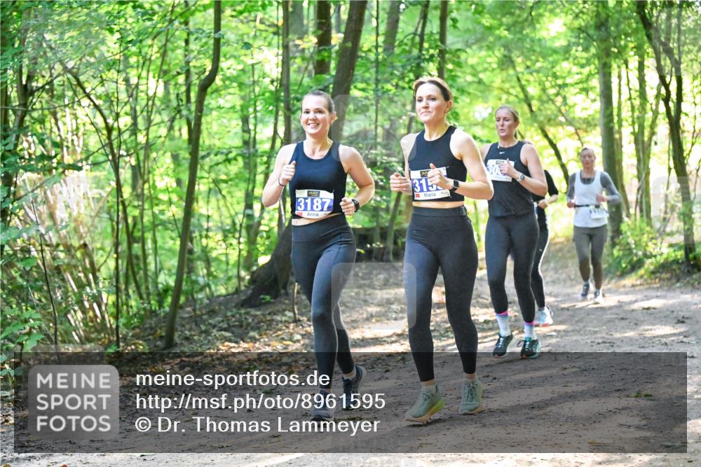 28.09.2025 - 33. Volkslauf durch das schöne Alstertal Dr. Thomas Lammeyer http://msf.ph/oto/8961595 28.09.2025 11:07:48 Laufen 3187, 315 meine-sportfotos.de