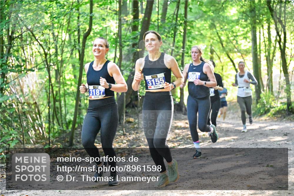 28.09.2025 - 33. Volkslauf durch das schöne Alstertal Dr. Thomas Lammeyer http://msf.ph/oto/8961598 28.09.2025 11:07:48 Laufen 3187, 3155, 3081 meine-sportfotos.de