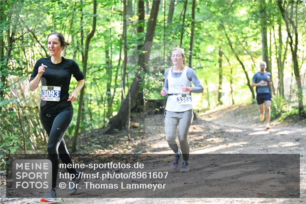28.09.2025 - 33. Volkslauf durch das schöne Alstertal Dr. Thomas Lammeyer http://msf.ph/oto/8961607 28.09.2025 11:07:50 Laufen 3093, 3385 meine-sportfotos.de