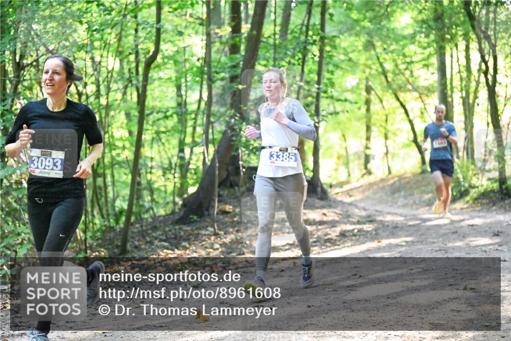28.09.2025 - 33. Volkslauf durch das schöne Alstertal Dr. Thomas Lammeyer http://msf.ph/oto/8961608 28.09.2025 11:07:50 Laufen 3093, 3385 meine-sportfotos.de