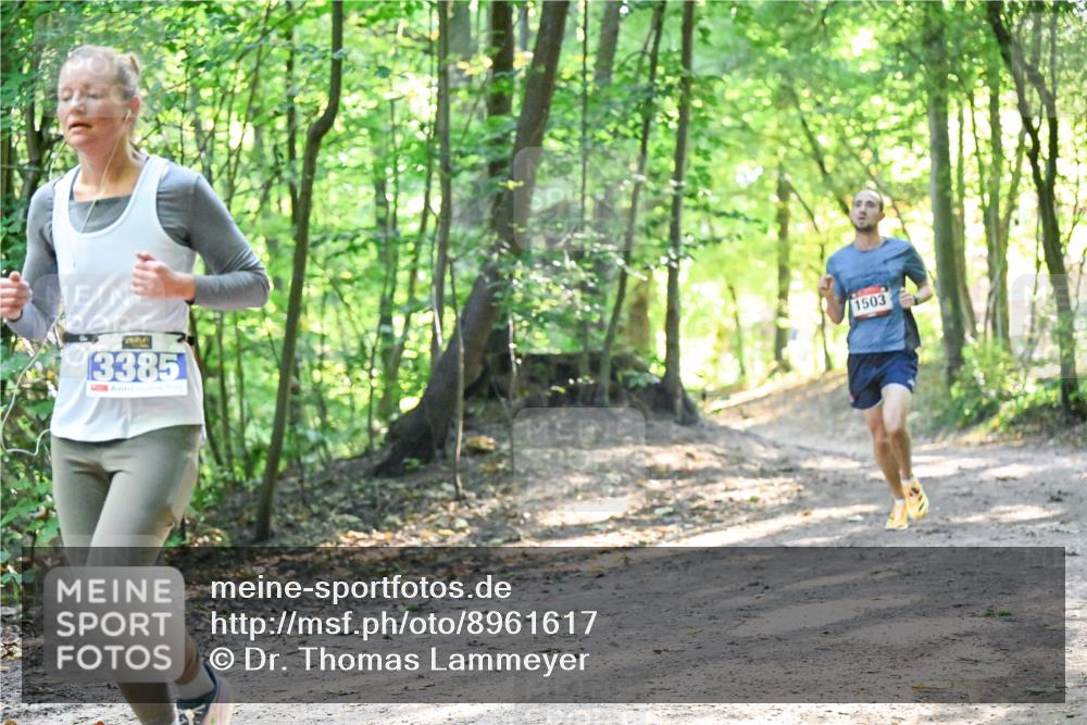 28.09.2025 - 33. Volkslauf durch das schöne Alstertal Dr. Thomas Lammeyer http://msf.ph/oto/8961617 28.09.2025 11:07:51 Laufen 3385, 1503 meine-sportfotos.de