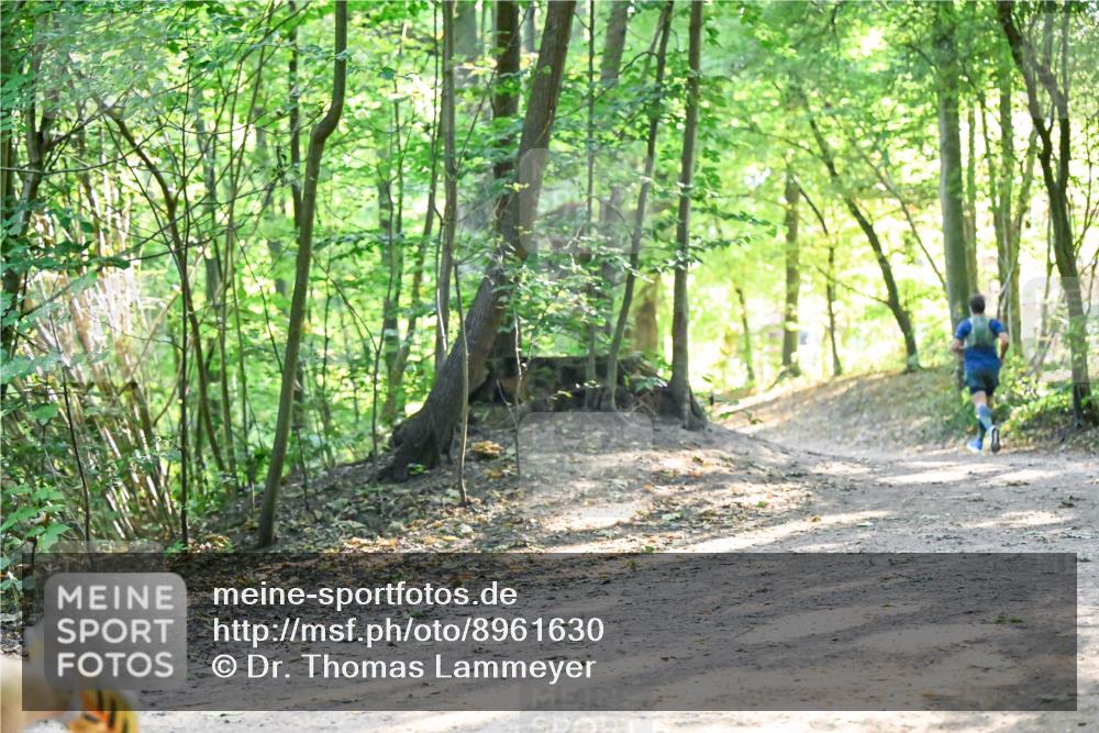 28.09.2025 - 33. Volkslauf durch das schöne Alstertal Dr. Thomas Lammeyer http://msf.ph/oto/8961630 28.09.2025 11:07:53 Laufen  meine-sportfotos.de