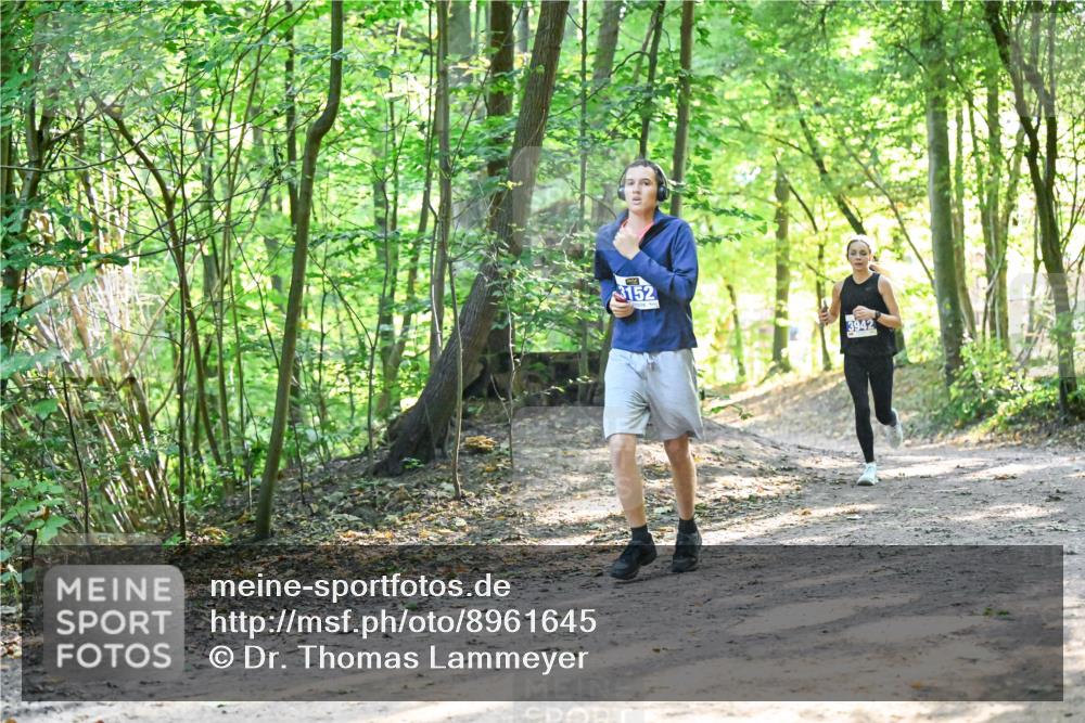 28.09.2025 - 33. Volkslauf durch das schöne Alstertal Dr. Thomas Lammeyer http://msf.ph/oto/8961645 28.09.2025 11:08:02 Laufen 3152, 3942 meine-sportfotos.de