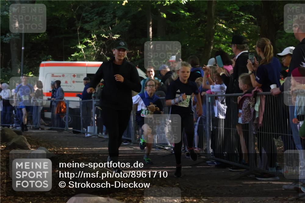 28.09.2025 - 33. Volkslauf durch das schöne Alstertal Strokosch-Dieckow http://msf.ph/oto/8961710 28.09.2025 10:56:21 Ziel 4082, 4133, 4134 meine-sportfotos.de