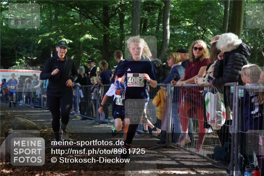 28.09.2025 - 33. Volkslauf durch das schöne Alstertal Strokosch-Dieckow http://msf.ph/oto/8961725 28.09.2025 10:56:23 Ziel 4082, 4133, 4134 meine-sportfotos.de