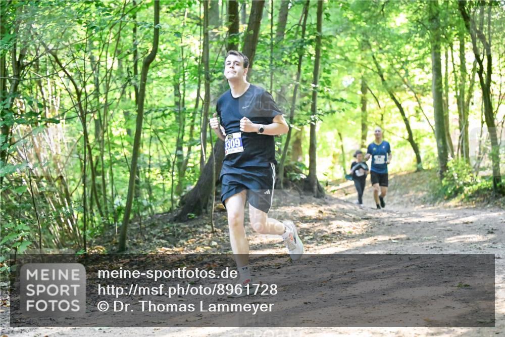 28.09.2025 - 33. Volkslauf durch das schöne Alstertal Dr. Thomas Lammeyer http://msf.ph/oto/8961728 28.09.2025 11:08:21 Laufen 309, 23 meine-sportfotos.de