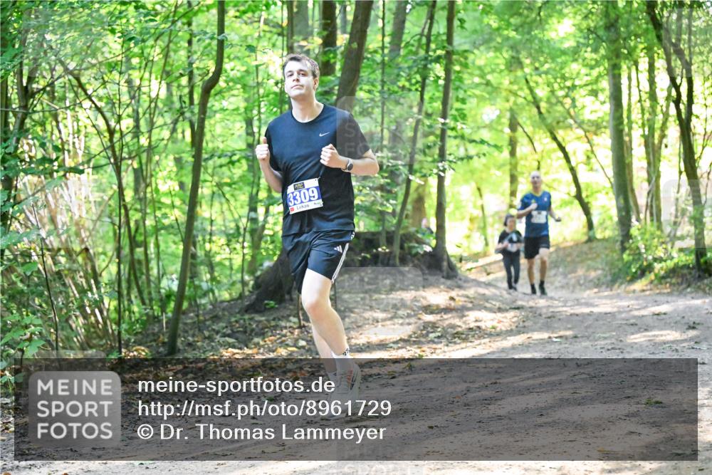 28.09.2025 - 33. Volkslauf durch das schöne Alstertal Dr. Thomas Lammeyer http://msf.ph/oto/8961729 28.09.2025 11:08:21 Laufen 3309 meine-sportfotos.de