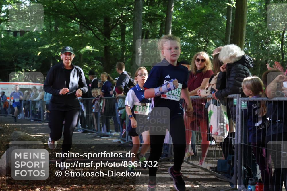 28.09.2025 - 33. Volkslauf durch das schöne Alstertal Strokosch-Dieckow http://msf.ph/oto/8961732 28.09.2025 10:56:23 Ziel 4082, 4133, 4134 meine-sportfotos.de