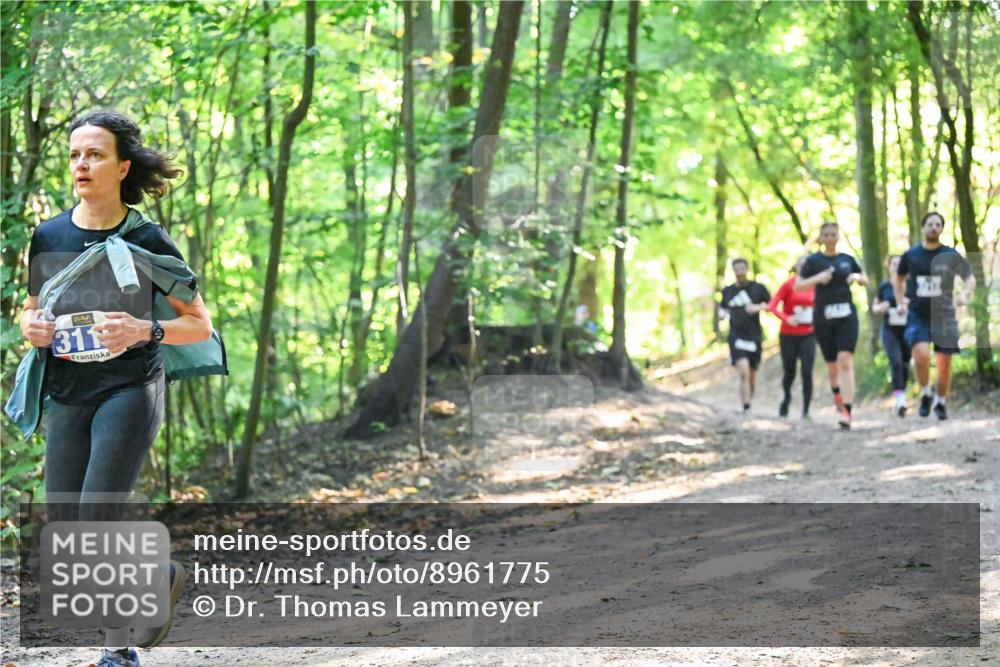 28.09.2025 - 33. Volkslauf durch das schöne Alstertal Dr. Thomas Lammeyer http://msf.ph/oto/8961775 28.09.2025 11:08:28 Laufen 311 meine-sportfotos.de