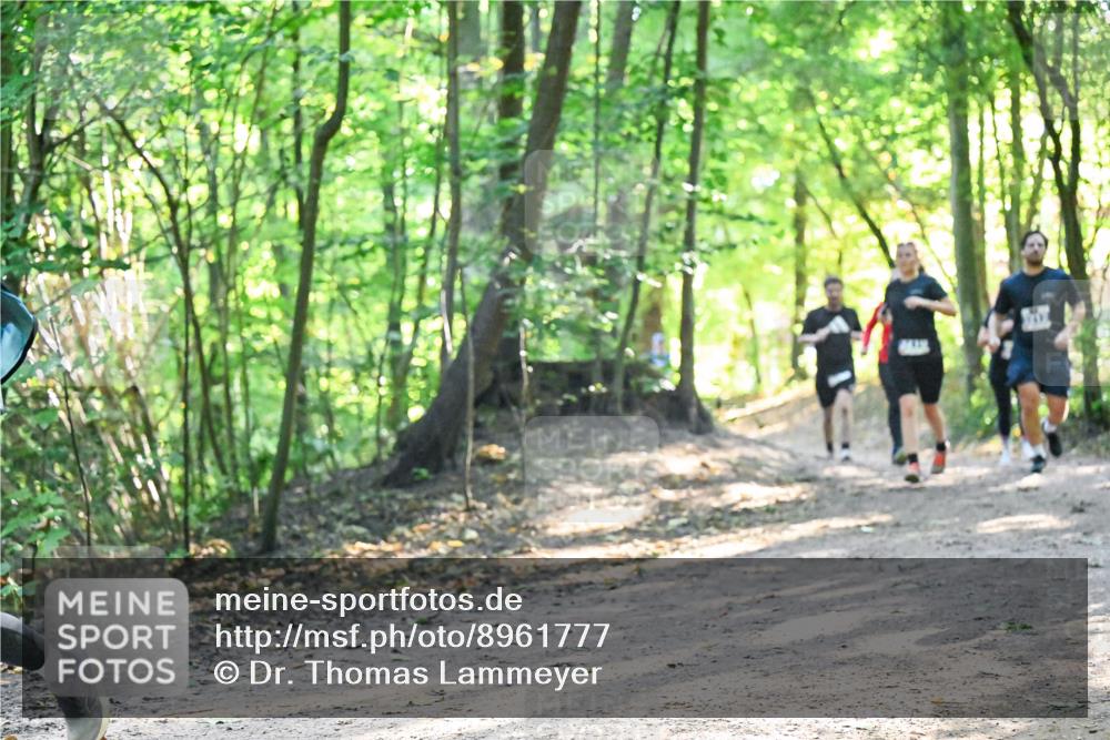 28.09.2025 - 33. Volkslauf durch das schöne Alstertal Dr. Thomas Lammeyer http://msf.ph/oto/8961777 28.09.2025 11:08:29 Laufen  meine-sportfotos.de