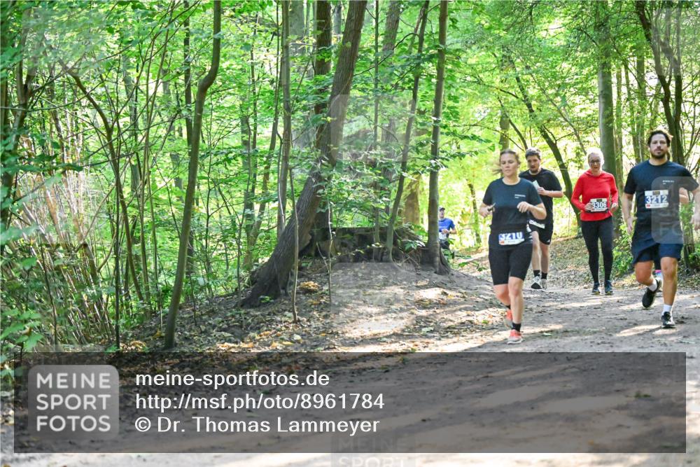 28.09.2025 - 33. Volkslauf durch das schöne Alstertal Dr. Thomas Lammeyer http://msf.ph/oto/8961784 28.09.2025 11:08:30 Laufen 3210, 3306, 3212 meine-sportfotos.de