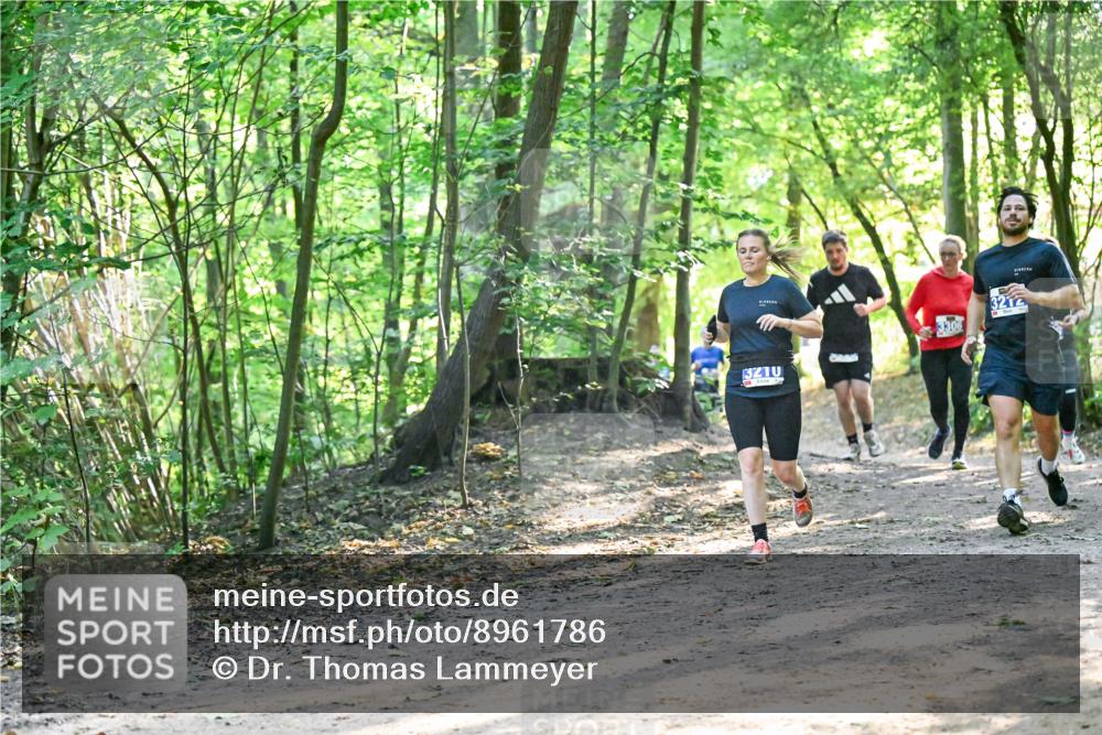 28.09.2025 - 33. Volkslauf durch das schöne Alstertal Dr. Thomas Lammeyer http://msf.ph/oto/8961786 28.09.2025 11:08:30 Laufen 3306, 13210, 3212 meine-sportfotos.de