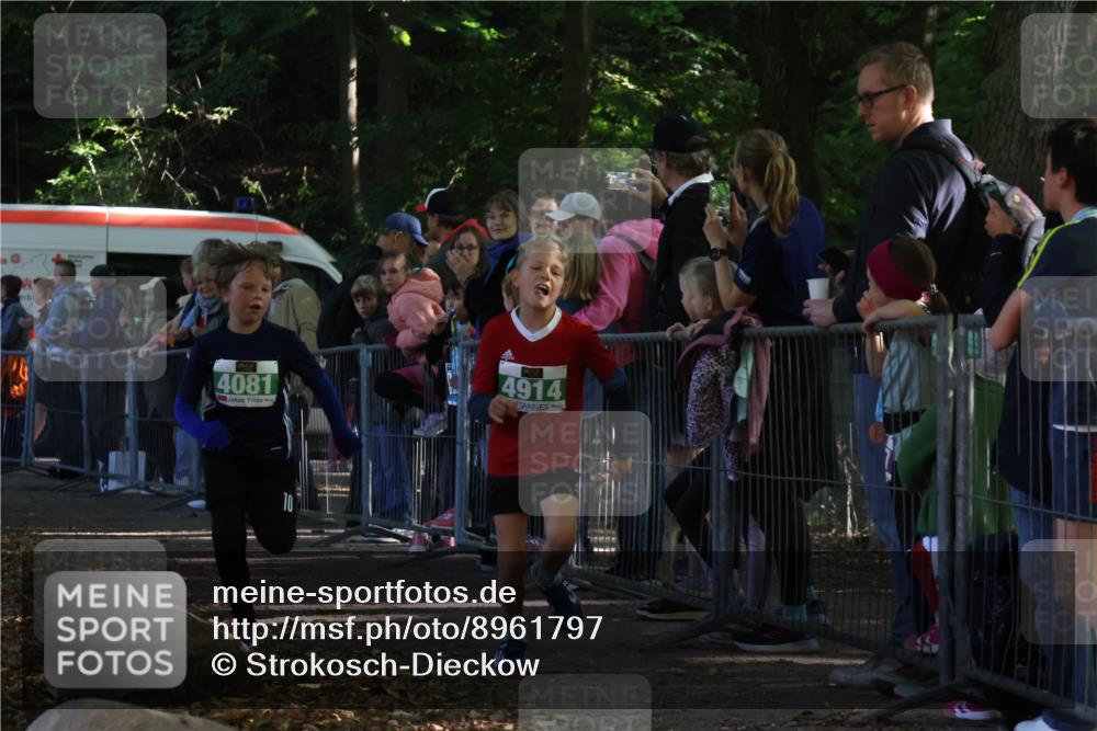 28.09.2025 - 33. Volkslauf durch das schöne Alstertal Strokosch-Dieckow http://msf.ph/oto/8961797 28.09.2025 10:56:41 Ziel 4065, 4069, 4081, 4914 meine-sportfotos.de