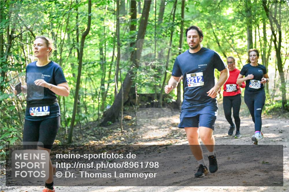 28.09.2025 - 33. Volkslauf durch das schöne Alstertal Dr. Thomas Lammeyer http://msf.ph/oto/8961798 28.09.2025 11:08:32 Laufen 3212, 3306, 3936, 13210 meine-sportfotos.de