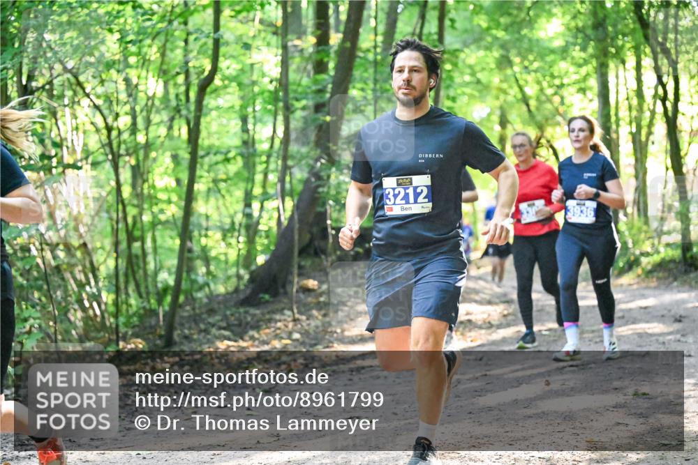 28.09.2025 - 33. Volkslauf durch das schöne Alstertal Dr. Thomas Lammeyer http://msf.ph/oto/8961799 28.09.2025 11:08:32 Laufen 3212, 3936 meine-sportfotos.de