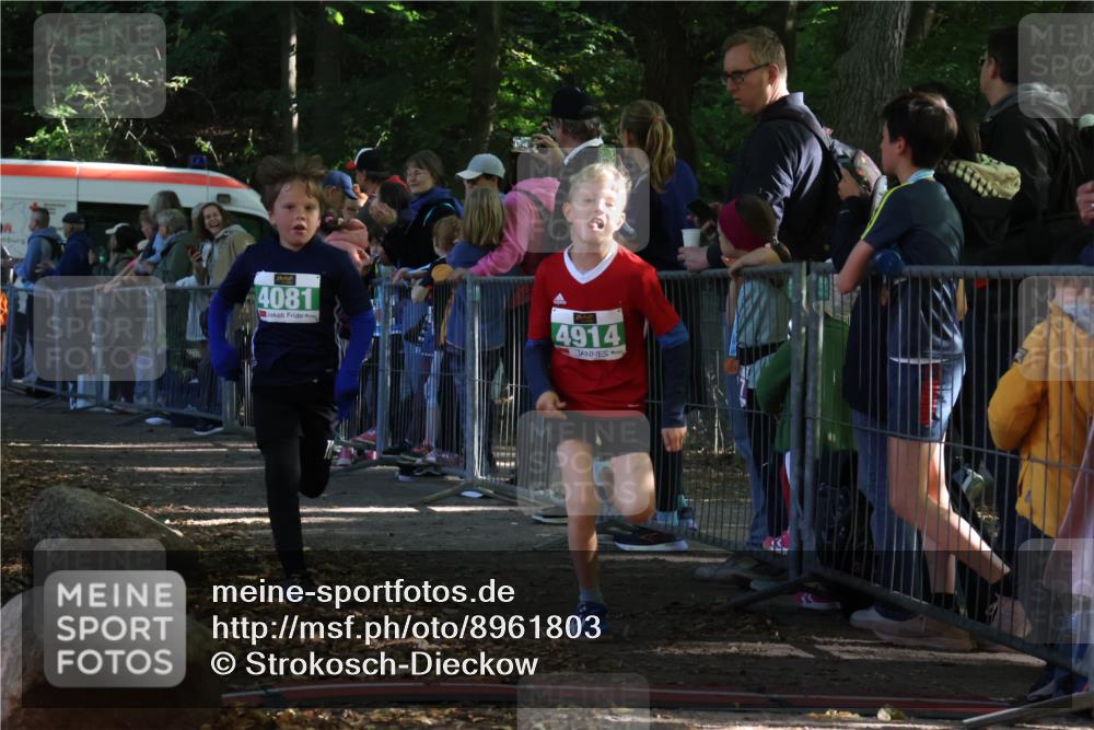28.09.2025 - 33. Volkslauf durch das schöne Alstertal Strokosch-Dieckow http://msf.ph/oto/8961803 28.09.2025 10:56:41 Ziel 4065, 4069, 4081, 4914 meine-sportfotos.de