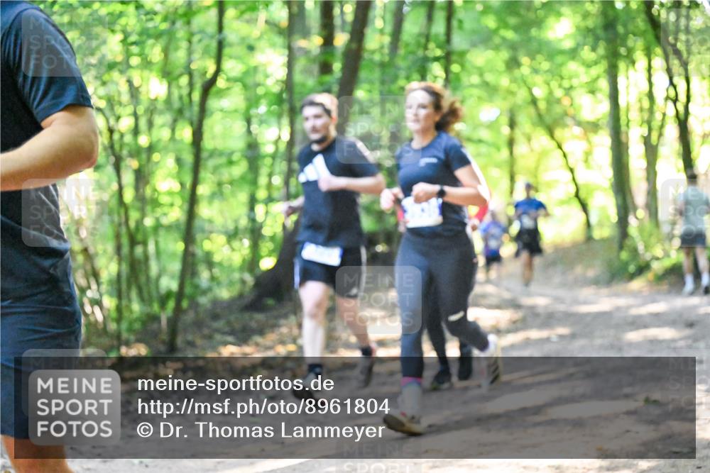 28.09.2025 - 33. Volkslauf durch das schöne Alstertal Dr. Thomas Lammeyer http://msf.ph/oto/8961804 28.09.2025 11:08:33 Laufen  meine-sportfotos.de