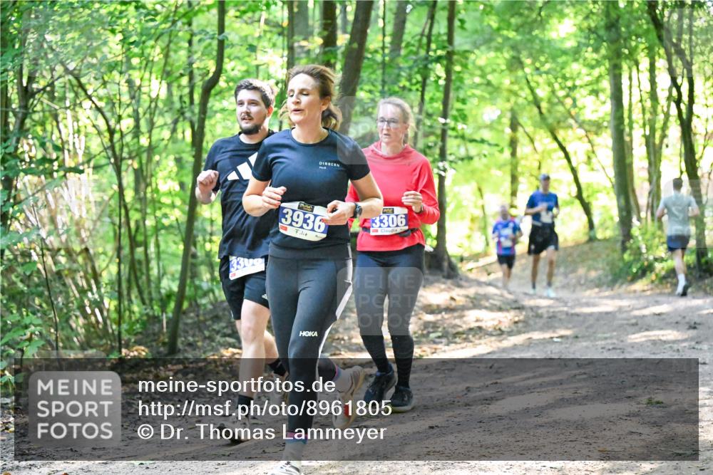 28.09.2025 - 33. Volkslauf durch das schöne Alstertal Dr. Thomas Lammeyer http://msf.ph/oto/8961805 28.09.2025 11:08:33 Laufen 330, 3936, 3306 meine-sportfotos.de