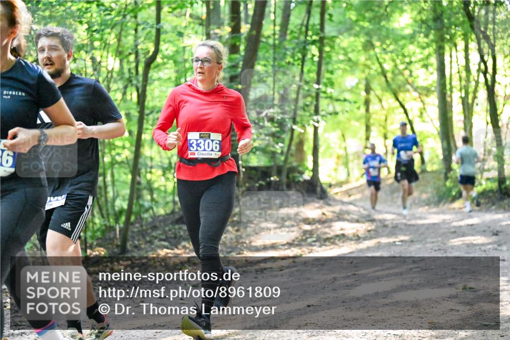 28.09.2025 - 33. Volkslauf durch das schöne Alstertal Dr. Thomas Lammeyer http://msf.ph/oto/8961809 28.09.2025 11:08:34 Laufen 6, 3306 meine-sportfotos.de